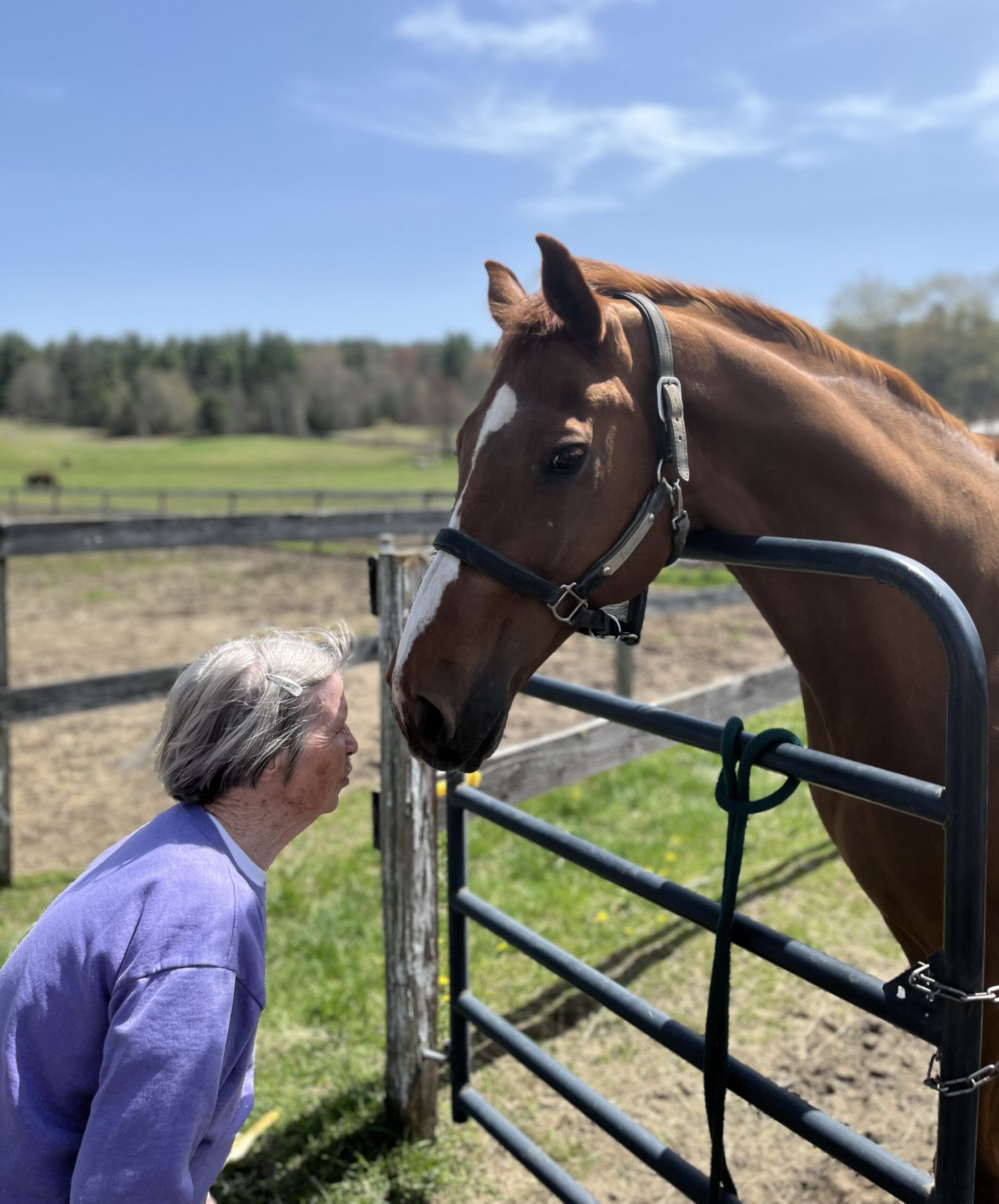 An elderly woman leaning in to kiss the muzzle of a chestnut horse