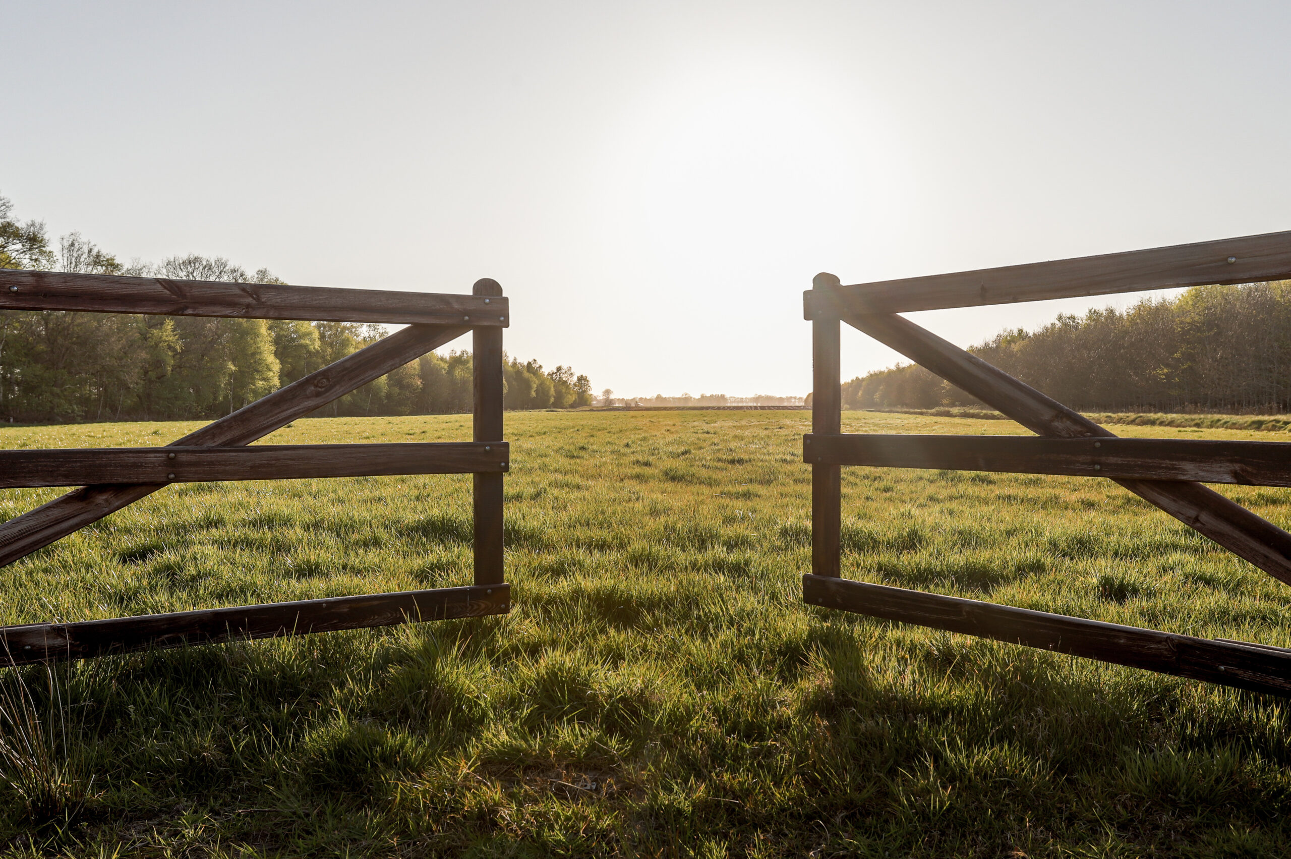 A partially open wooden gate to a green field with hazy sunshine above